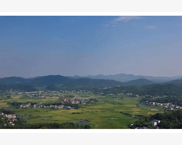 嗓子疼？吃辣椒化痰！中医告诉你疏风化痰的五味佳品
